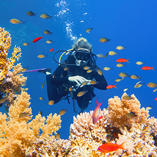Exploration des fonds marins